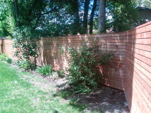 IMG00555-20120622-1309